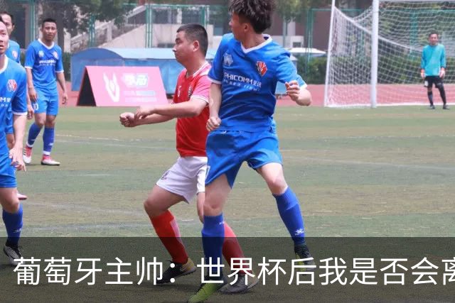葡萄牙主帅：世界杯后我是否会离任？现在重要的是专注于世界杯